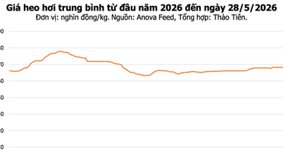 Schweinefleischpreise heute, 28. Mai: Leicht gesunken, Höchstpreis 69.000 VND/kg.