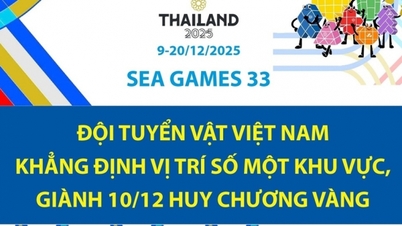 ກິລາຊີເກມ ຄັ້ງທີ 33: ທີມມວຍປ້ຳຫວຽດນາມຢືນຢັນຕຳແໜ່ງອັນດັບໜຶ່ງຂອງຕົນໃນອາຊີຕາເວັນອອກສ່ຽງໃຕ້.
