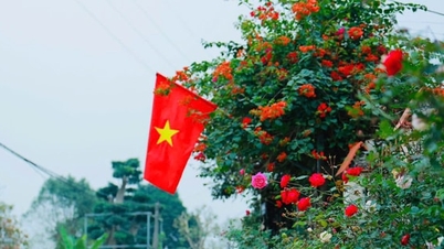Góp sức, chung tay để xanh ngõ, đẹp làng