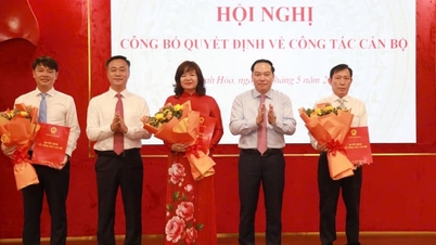 Khanh Hoa arbeitet kontinuierlich an der Optimierung seiner Organisationsstruktur und der Verbesserung der Managementeffizienz.