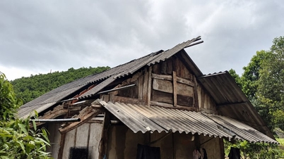 Dông lốc, mưa đá gây thiệt hại lớn ở Lào Cai
