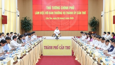 El primer ministro Le Minh Hung trabaja con el Comité Permanente del Comité del Partido de la ciudad de Can Tho.
