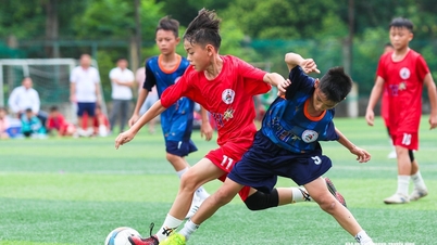 De definitieve lijst met 46 teams die deelnemen aan het Nghe An Newspaper and Radio & Television Cup jeugd- en kindervoetbaltoernooi van 2026 is bekendgemaakt.