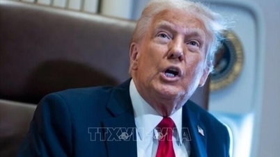 Ο Πρόεδρος Τραμπ επιβεβαιώνει την συντριπτική του επιρροή στην ενδιάμεση κούρσα.
