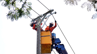 中央地域および中央高原地域の電力システムは、1日あたり1億kWhを超えました。
