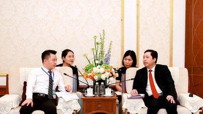 Il segretario provinciale del Partito, Duong Quoc Huy, ha incontrato e discusso con i rappresentanti del Gruppo Tongshen di Chongqing e del Gruppo di investimento energetico dello Yunnan.