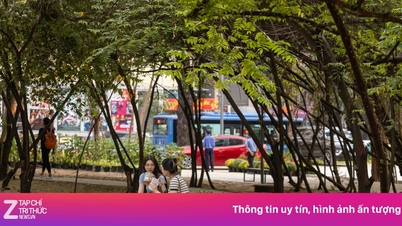 Città di Ho Chi Minh: Basta costruire palazzi residenziali; i terreni nel centro città saranno destinati a parchi.