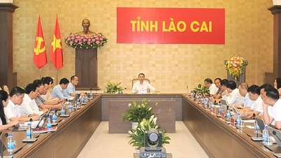 Il presidente del Comitato popolare provinciale Nguyen Tuan Anh e il Gruppo di monitoraggio n. 03 del Comitato provinciale del Partito hanno collaborato con il Comitato permanente del Comitato del Partito di 8 comuni e distretti.