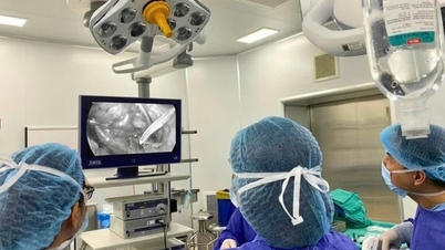 Vinmec ha trattato con successo un ascesso endometriale che comprimeva il rene in una paziente di sesso femminile appartenente alla generazione Z.