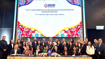 Il Vietnam partecipa attivamente ai meccanismi di cooperazione dell'ASEAN in materia di tutela dei consumatori.