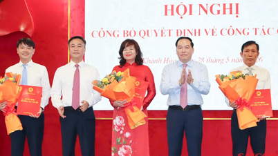 Nella provincia di Khanh Hoa sono stati trasferiti e nominati numerosi funzionari.