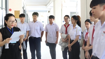Domande e risposte per l'esame di ammissione alla decima classe in Letteratura a Khanh Hoa nel 2026.