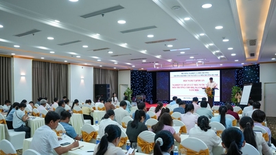 Da Nang ospiterà un corso di formazione sulla gestione statale della protezione ambientale nel 2026.
