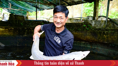 ຊາຍຄົນໜຶ່ງໃຊ້ເງິນຫຼາຍພັນລ້ານດົ່ງເພື່ອຂຸດນ້ຳຈາກຍອດພູ Pù Rinh ເພື່ອລ້ຽງປາສະເຕີຈຽນ.