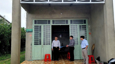 Indagine sulla pianificazione degli insediamenti residenziali di confine nel comune di Long Thuan.