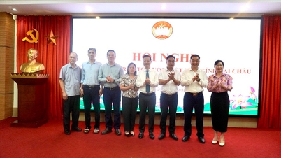 Perundingan untuk memilih ahli tambahan ke dalam Jawatankuasa, khususnya jawatan Naib Pengerusi Jawatankuasa Barisan Tanah Air Vietnam wilayah itu.
