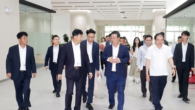 Se estima que el índice de producción industrial de Hai Phong aumentará un 13,8%.