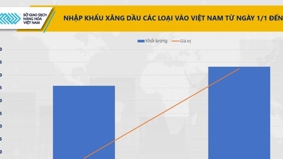 شاخص MXV برای هفتمین جلسه متوالی کاهش یافت.