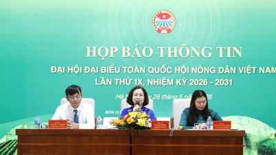 L'Associazione degli agricoltori vietnamiti intensificherà il sostegno agli agricoltori per lo sviluppo delle loro attività.