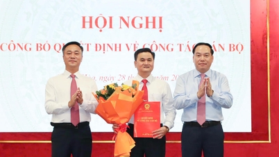In der Provinz Khanh Hoa wurden zahlreiche führende Beamte versetzt, ernannt und eingesetzt.