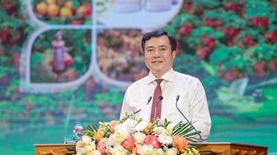 Il Ministero dell'Industria e del Commercio apprezza molto gli sforzi profusi nella promozione del consumo di litchi provenienti da Bac Ninh.
