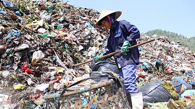 Da Nang sedang mencari kontraktor untuk mengendalikan petak sisa bernombor 7 di tapak pelupusan sampah Khanh Son sebelum 31 Ogos.