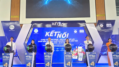 Can Tho berhubung kait dengan teknologi, meningkatkan kualiti produk OCOP.