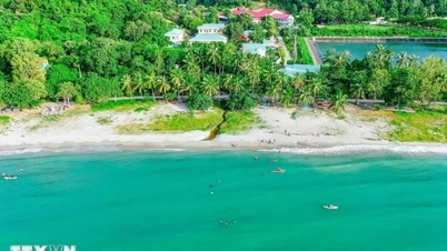 L'isola dei pirati nella provincia di An Giang (precedentemente parte di Ha Tien), a più di 6 ore di auto da Ho Chi Minh City, è incontaminata e selvaggia come questa.