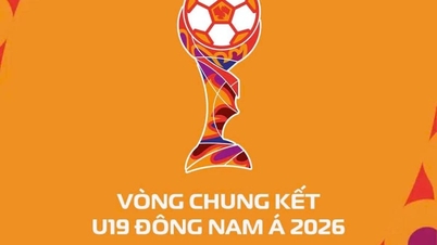 Dove posso guardare dal vivo le partite della nazionale vietnamita Under 19 del Campionato del Sud-est asiatico Under 19 del 2026?