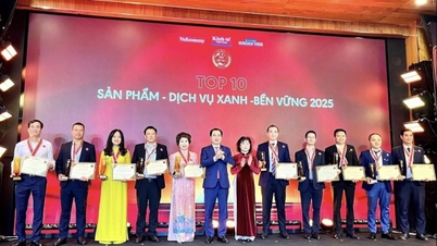 Riso Dong Thap HAPRO - Valorizzare il prezioso cereale vietnamita.