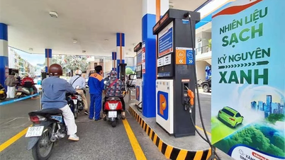 وزارت صنعت و تجارت بازخوردی از VAMA و VAMM در مورد سوخت بیواتانول E10 ارائه می‌دهد.
