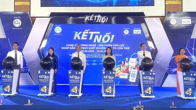 Collegare la tecnologia per aiutare i prodotti OCOP del delta del Mekong a raggiungere mercati più ampi.
