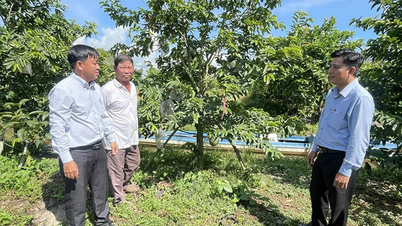 Phát huy sức mạnh đại đoàn kết, chủ động hội nhập và phát triển