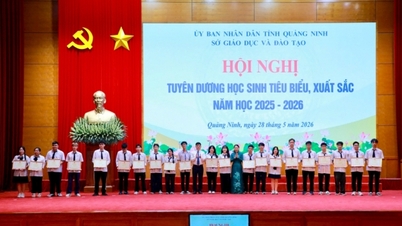 Tuyên dương 278 học sinh tiêu biểu, xuất sắc năm học 2025-2026