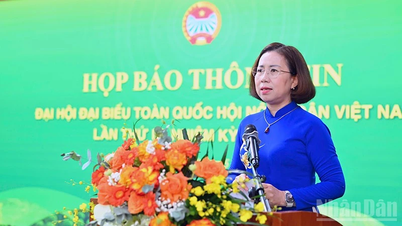 Kongres ke-9 Asosiasi Petani Vietnam diharapkan akan menyetujui empat tugas terobosan.