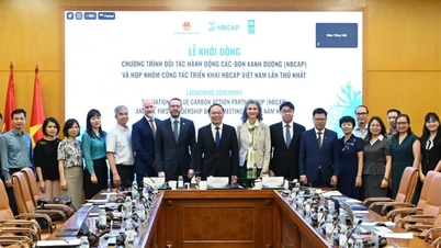 Запуск партнерства NBCAP Blue Carbon Action