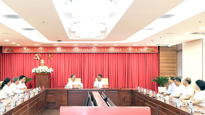 Yüksek Halk Mahkemesi heyeti, Hanh Hoa İl Parti Komitesi Daimi Komitesi ile birlikte çalıştı.