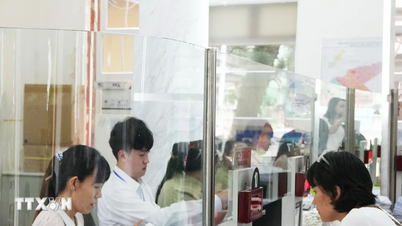 Razionalizzazione della struttura organizzativa: cambiamenti significativi a partire dal livello di base a Ho Chi Minh City.