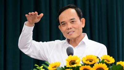 Il segretario del Partito Tran Luu Quang: Ho Chi Minh City sostiene gli esami e le valutazioni competitive per selezionare individui di talento per il sistema.