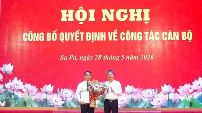 Mr. Dang Viet Dung holds the position of Vice Chairman of the People's Committee of Sa Pa Ward.