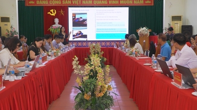 សិក្ខាសាលាសង្ខេបនៃគម្រោង VN04-037 “សិទ្ធិរបស់ខ្ញុំក្នុងការអប់រំ - ដំណាក់កាលទី 2” - កាសែតអនឡាញ Cao Bang