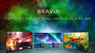 Sony a její strategie „True RGB“: Odemykání nového standardu pro domácí kino.