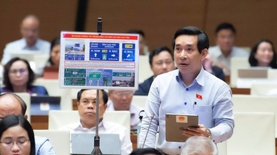 Representant Nguyen Van Canh foreslo å tillate fotgjengere å gå mot trafikkflyten når det ikke er fortau.