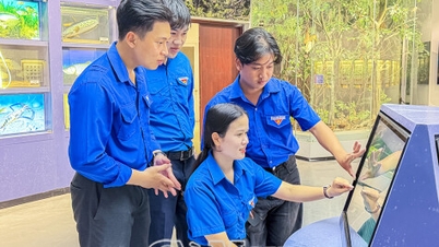 ການເຜີຍແຜ່ຄຸນຄ່າທາງວັດທະນະທຳຜ່ານພິພິທະພັນດິຈິຕອນ.