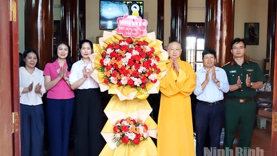 ผู้นำคณะกรรมการแนวร่วมปิตุภูมิเวียดนามประจำจังหวัดได้แสดงความยินดีกับศาสนสถานต่างๆ เนื่องในโอกาสวันประสูติของพระพุทธเจ้า