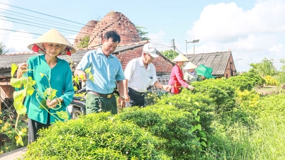 មនុស្សចាស់រួមចំណែកក្នុងការកសាងជនបទថ្មី។