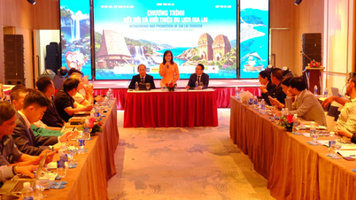 Connecting and promoting Gia Lai tourism to the Australian market.