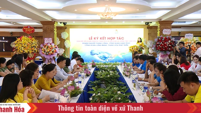La Federazione provinciale del lavoro di Thanh Hoa e l'Associazione provinciale delle imprenditrici di Thanh Hoa hanno firmato un programma di cooperazione.