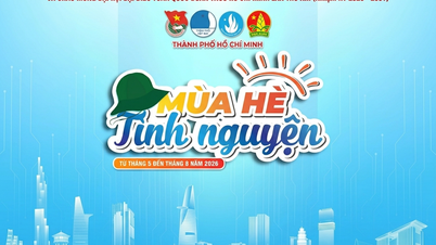 La città di Ho Chi Minh lancia la 33ª Campagna di volontariato estivo "Green Summer", 2026.