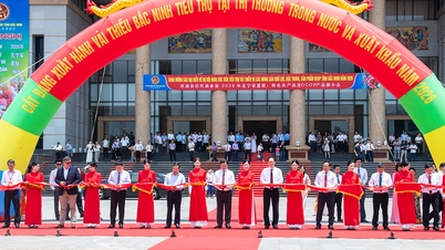 Bac Ninh: Förderung der Lieferkettenverbindungen und Steigerung des Wertes von Litschis und OCOP-Agrarprodukten.